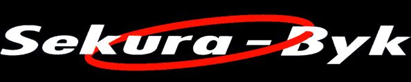 logo Sekura-byk